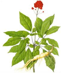 Acme Acupuncture and Chinese Herbs Clinic - your dependable acupuncturist and herbalist. 